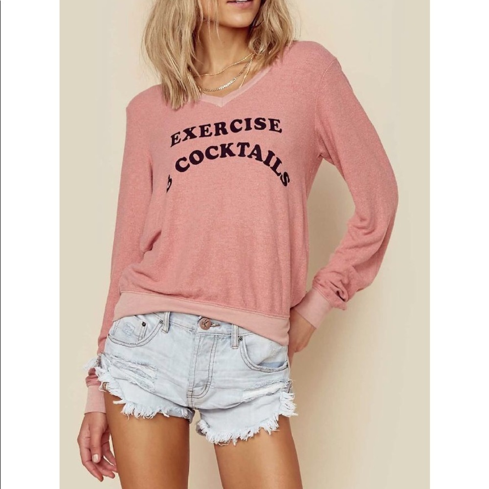 NWT WILDFOX soft sweatshirt